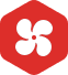 Why Unique Product 62x68